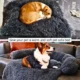 Sofa-Protecting-Pet-Bed-5.webp