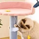 Soft-and-Comfortable-Cat-Climbing-Tree-1.webp