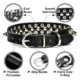 Spiked-Studded-Leather-Dog-Collars-30.webp