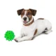 Squeaky-Pet-Dog-Ball-Toys-9.webp