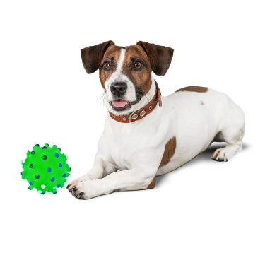 Squeaky-Pet-Dog-Ball-Toys-9.webp