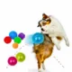 Squeaky-Rubber-Ball-Dog-Toy-2-2.webp
