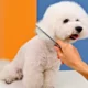 Stainless-Steel-Pet-Hair-Grooming-Comb-3-2.webp