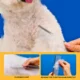 Stainless-Steel-Pet-Hair-Grooming-Comb-8-2.webp