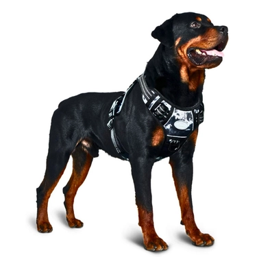Tactical-Dog-Training-Harness-11.webp