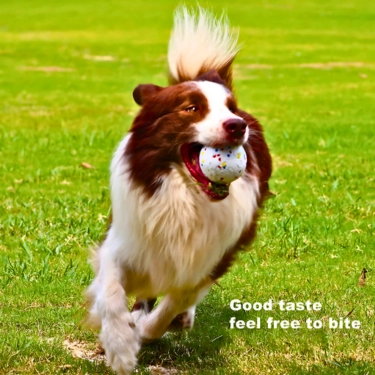 Toy-Bite-Resistant-Interactive-Dog-Ball-5.webp