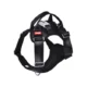 Waterproof-Pet-LED-Light-Harness-For-Night-Safety-13.webp