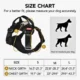 Waterproof-Pet-LED-Light-Harness-For-Night-Safety-25.webp