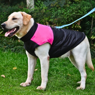 Waterproof-Zipper-Design-Dog-Jacket-Coat-10-1.webp