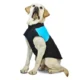 Waterproof-Zipper-Design-Dog-Jacket-Coat-15-1.webp