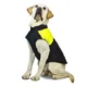 Waterproof-Zipper-Design-Dog-Jacket-Coat-16-1.webp