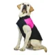 Waterproof-Zipper-Design-Dog-Jacket-Coat-20-1.webp