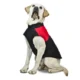 Waterproof-Zipper-Design-Dog-Jacket-Coat-24-1.webp