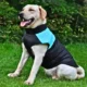 Waterproof-Zipper-Design-Dog-Jacket-Coat-3-1.webp