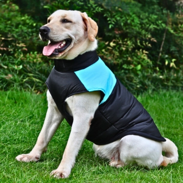 Waterproof-Zipper-Design-Dog-Jacket-Coat-3-1.webp