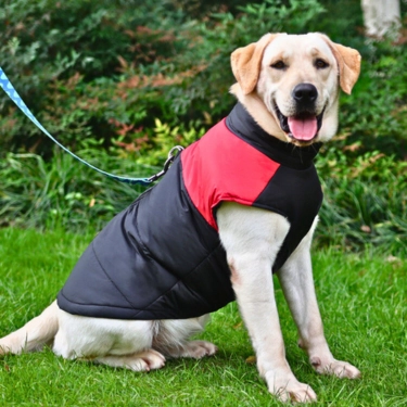 Waterproof-Zipper-Design-Dog-Jacket-Coat-4-1.webp