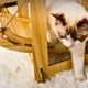 Wood-Cat-Hammock-Swing-Bed-4.webp
