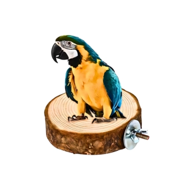 Wooden Bird Perch Stand Toy