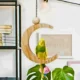 Wooden-Swing-Bird-Perch-Toys-with-Bell-3-2.webp